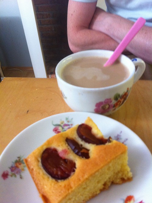 Zwetschgenkuchen
